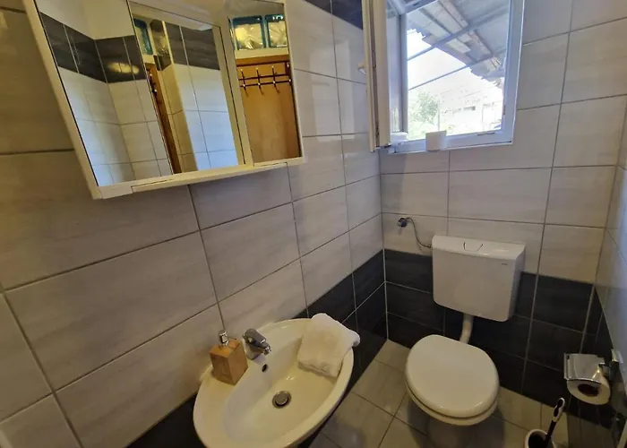 Simba Biograd Na Moru